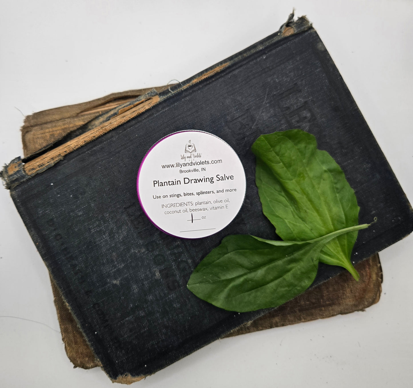 Plantain Drawing Salve