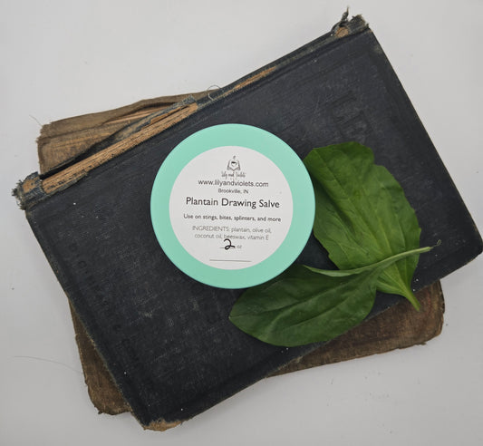 Plantain Drawing Salve