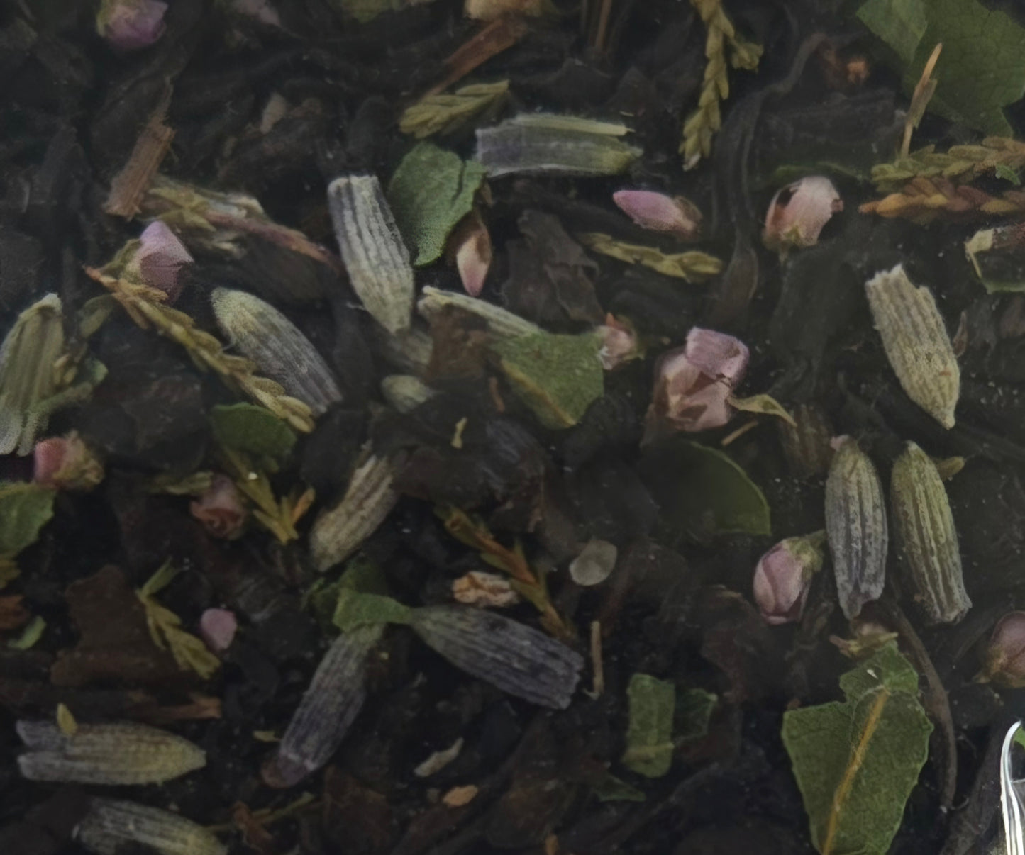Excali-Brew Black Tea limited edition